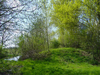 Lammehøj anno 2008